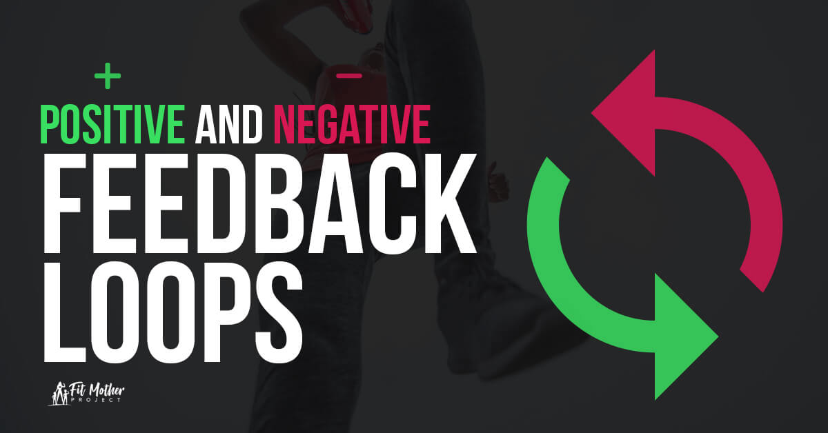 positive and negative feedback loops